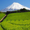 静岡の風景①