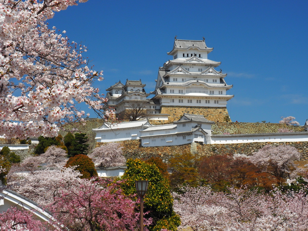 姫路城を彩る春