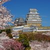 姫路城を彩る春