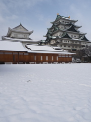 雪化粧