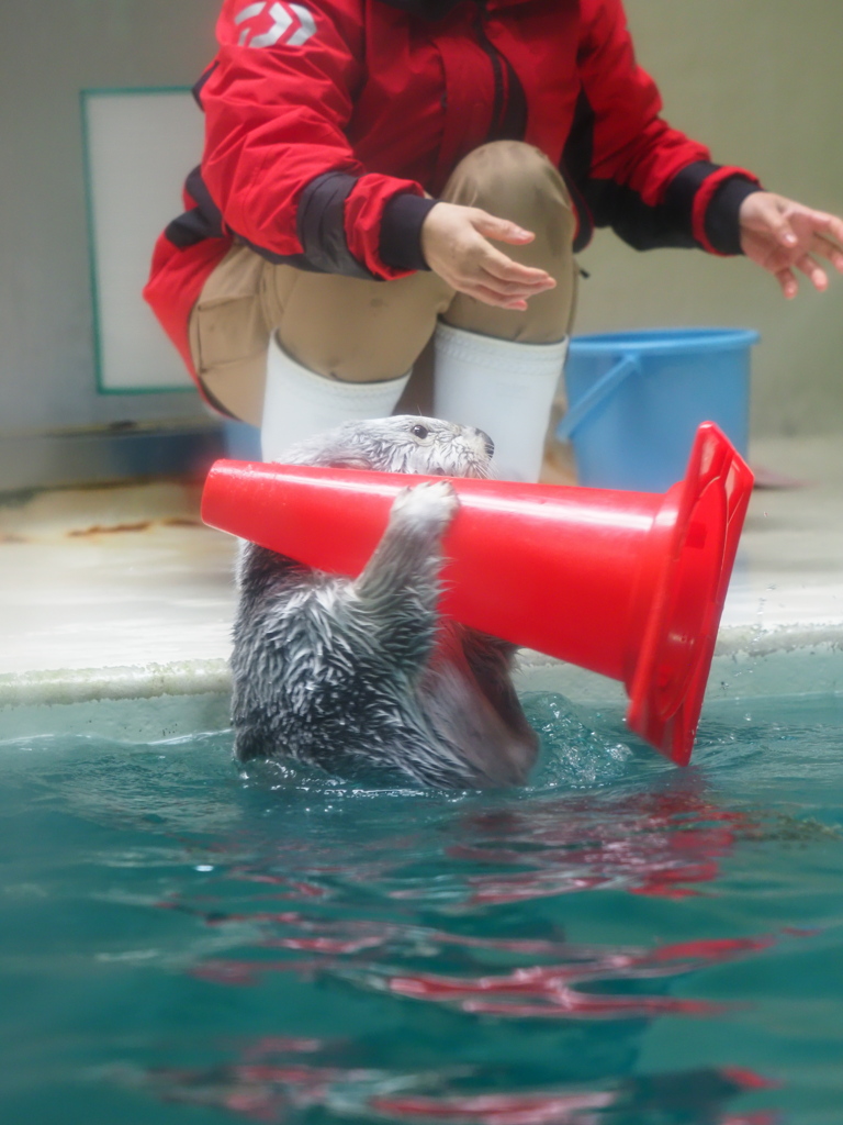 隊長、どこを狙えば良いでありますか？