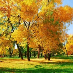 Landscape photo