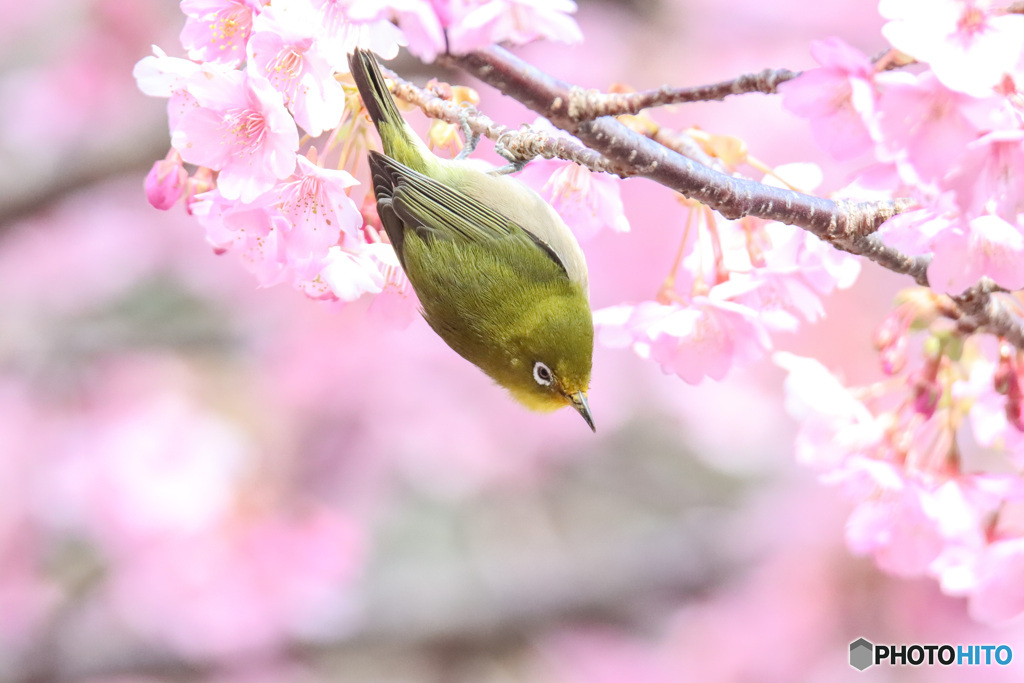 次はあっちやな！