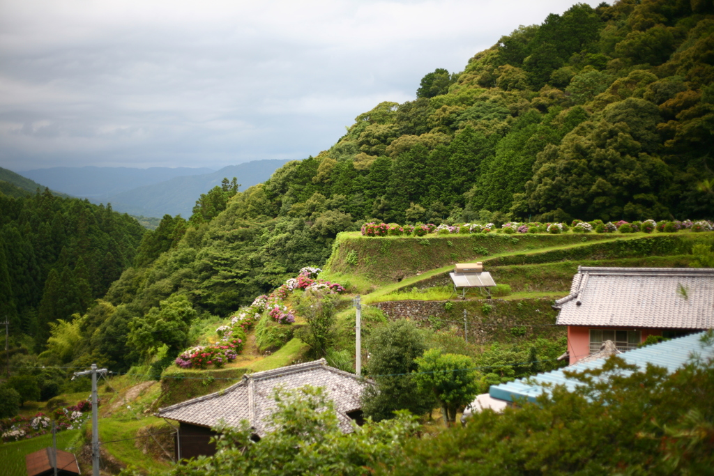 今の里山