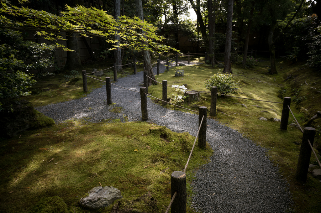 妙心寺 桂春院②