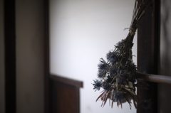 dried flowers