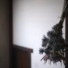 dried flowers