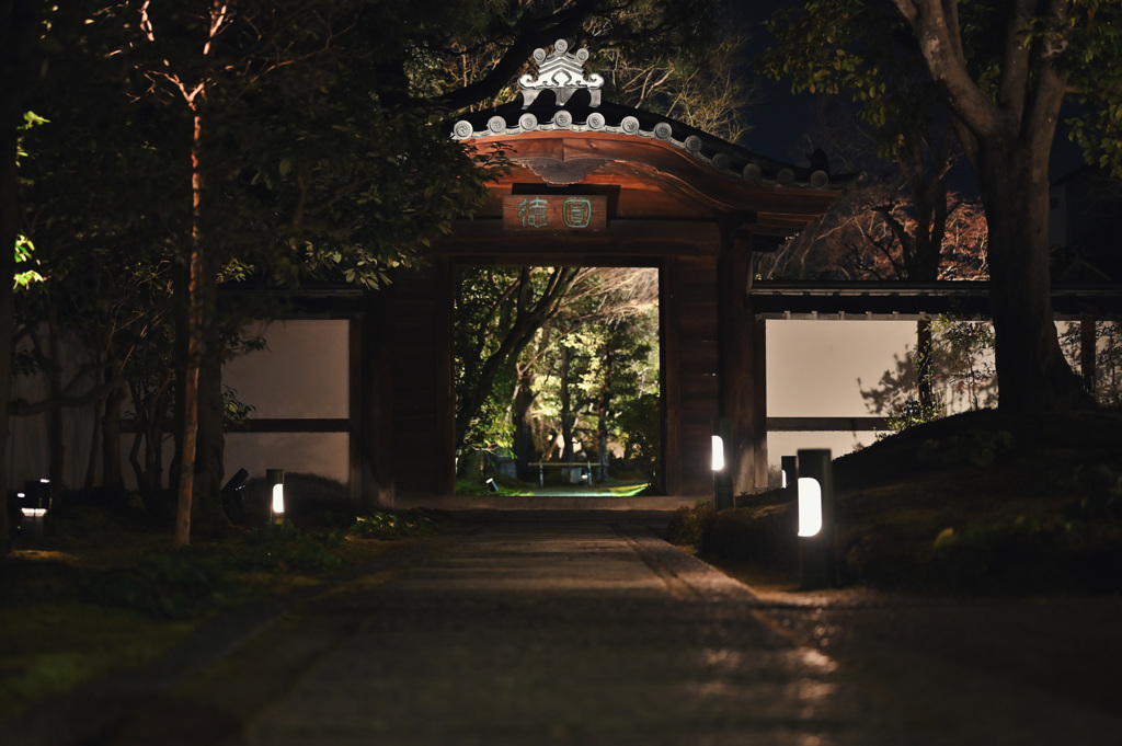 圓徳院　東山花灯路④