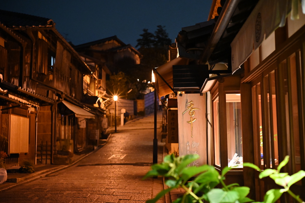 夜の東山散歩③
