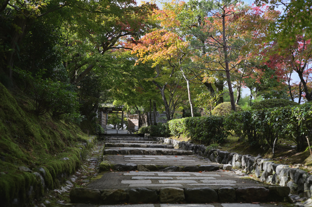 化野念仏寺①