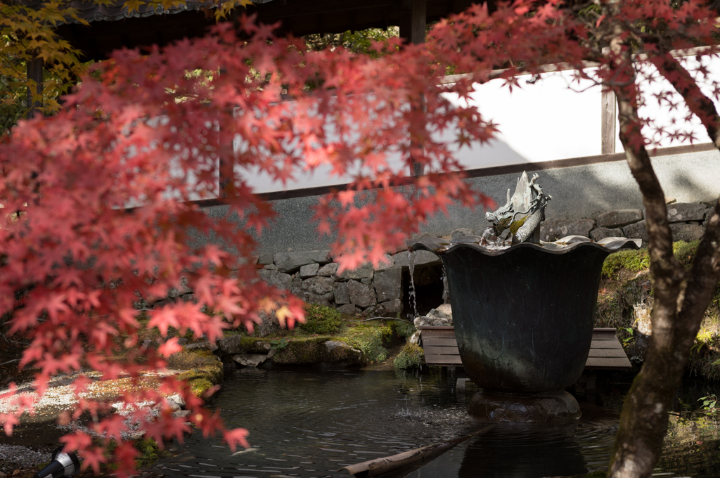 永源寺にて