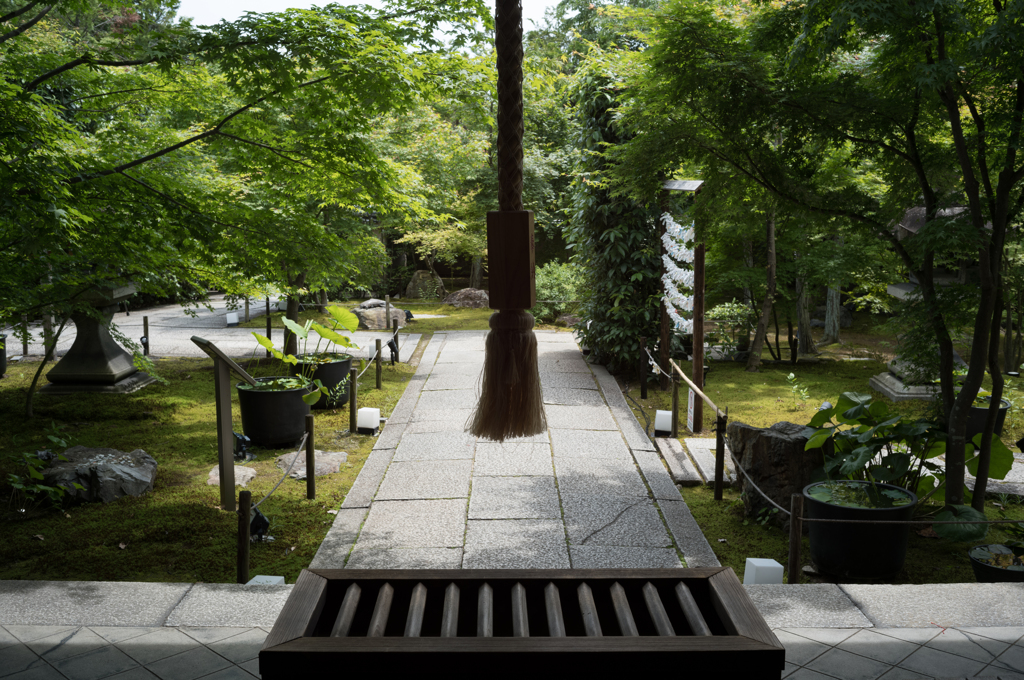 勝林寺