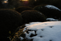 雪が降った日