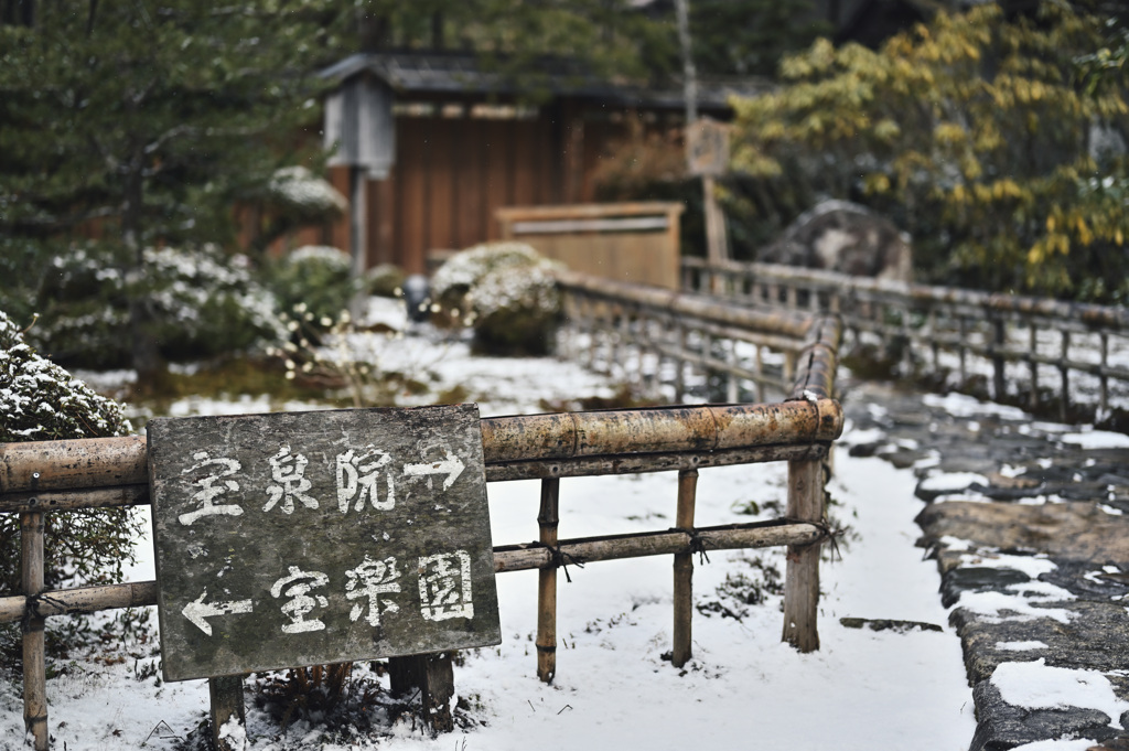 宝泉院①