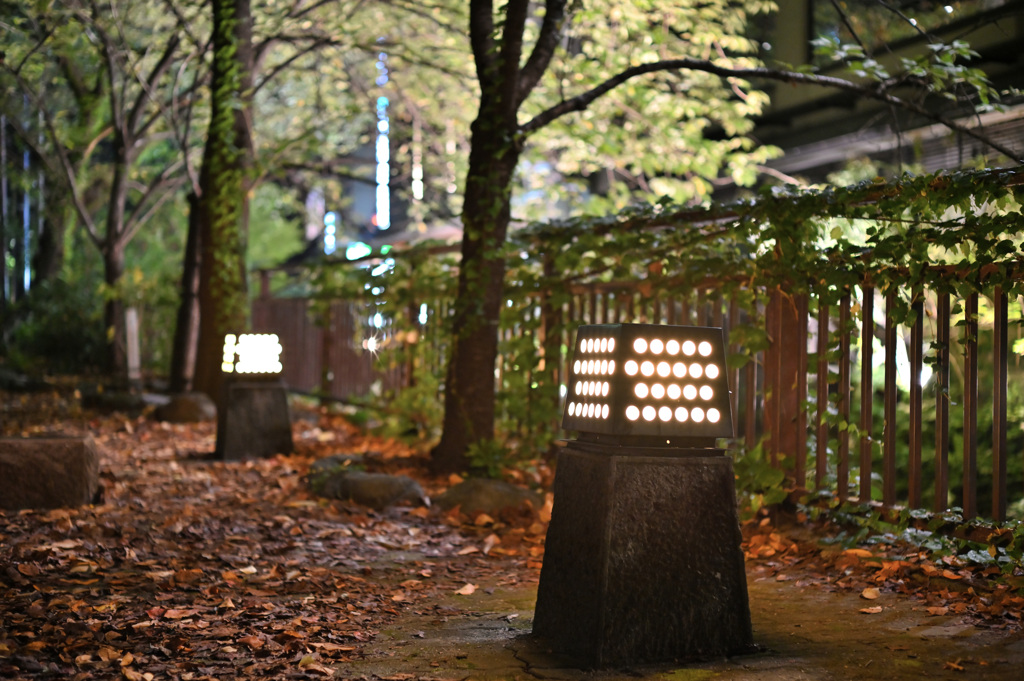 夜の祇園散歩⑥