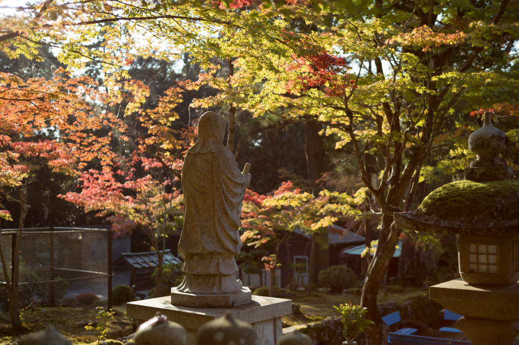 西明寺にて②