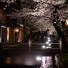 高瀬川 夜桜①