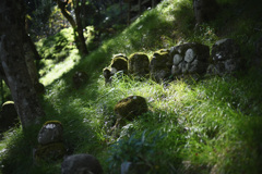 愛宕念仏寺②