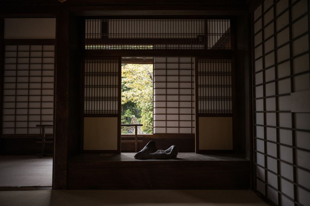 妙心寺 退蔵院③