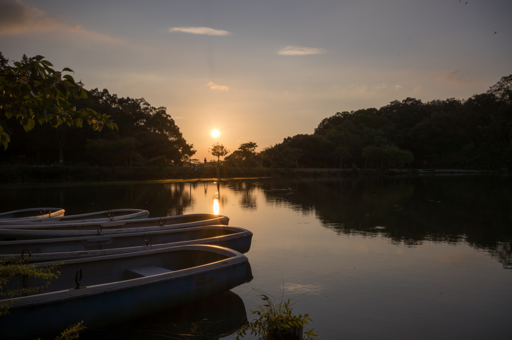 鷺池夕景