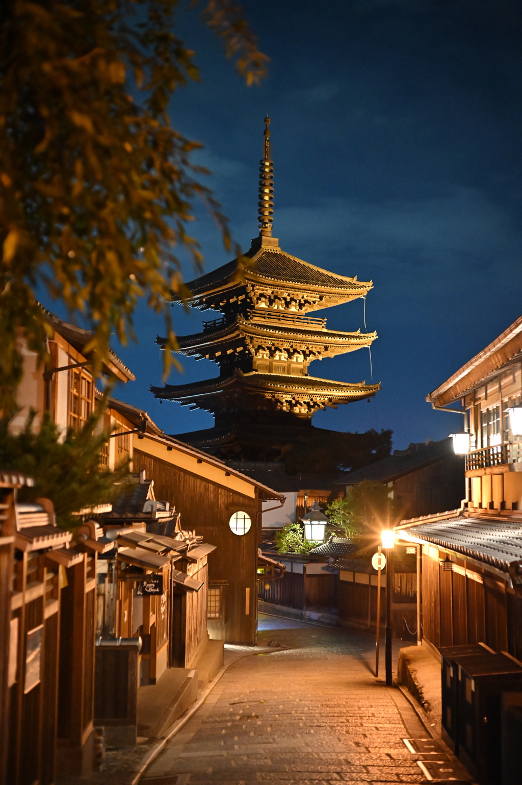 夜の東山散歩⑥