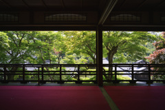 柳谷観音 楊谷寺⑦ 上書院