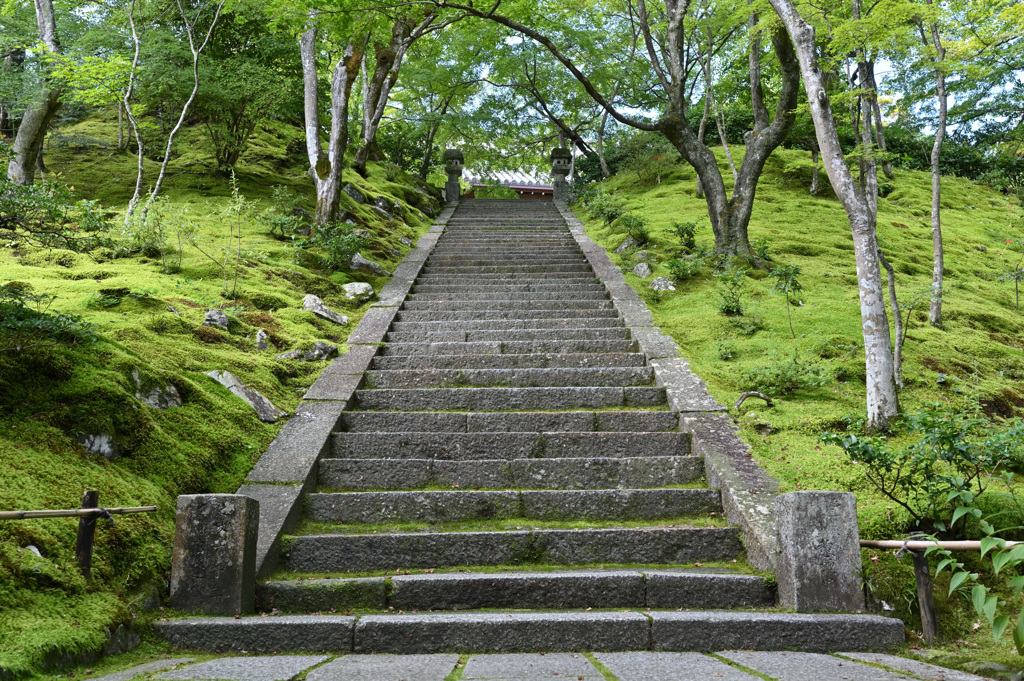 常寂光寺②