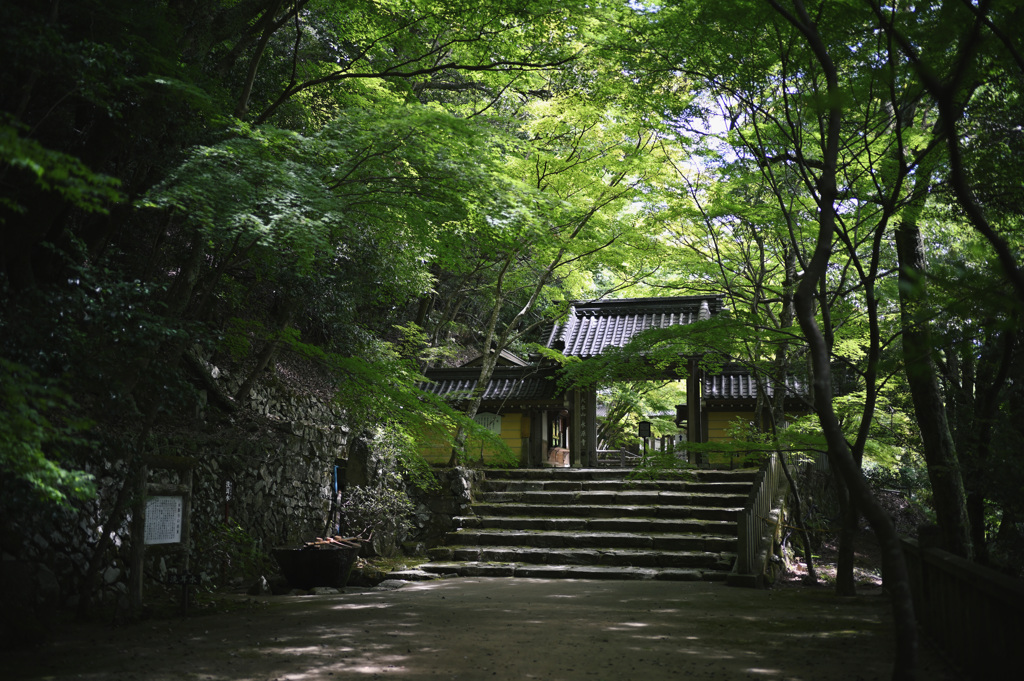 永源寺①