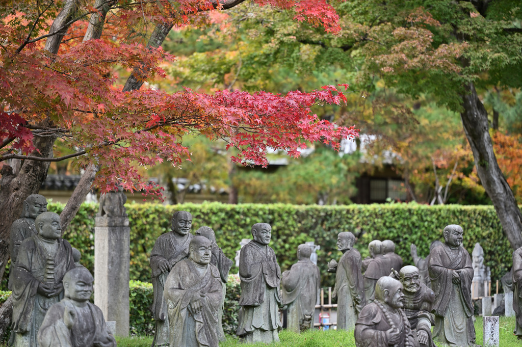 嵐山羅漢