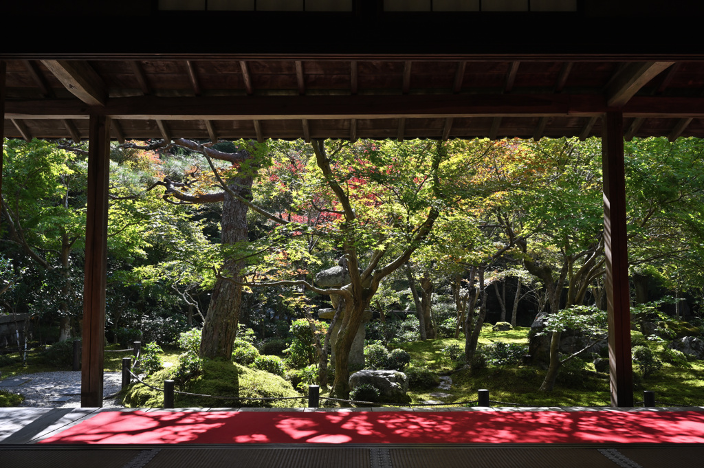圓光寺③