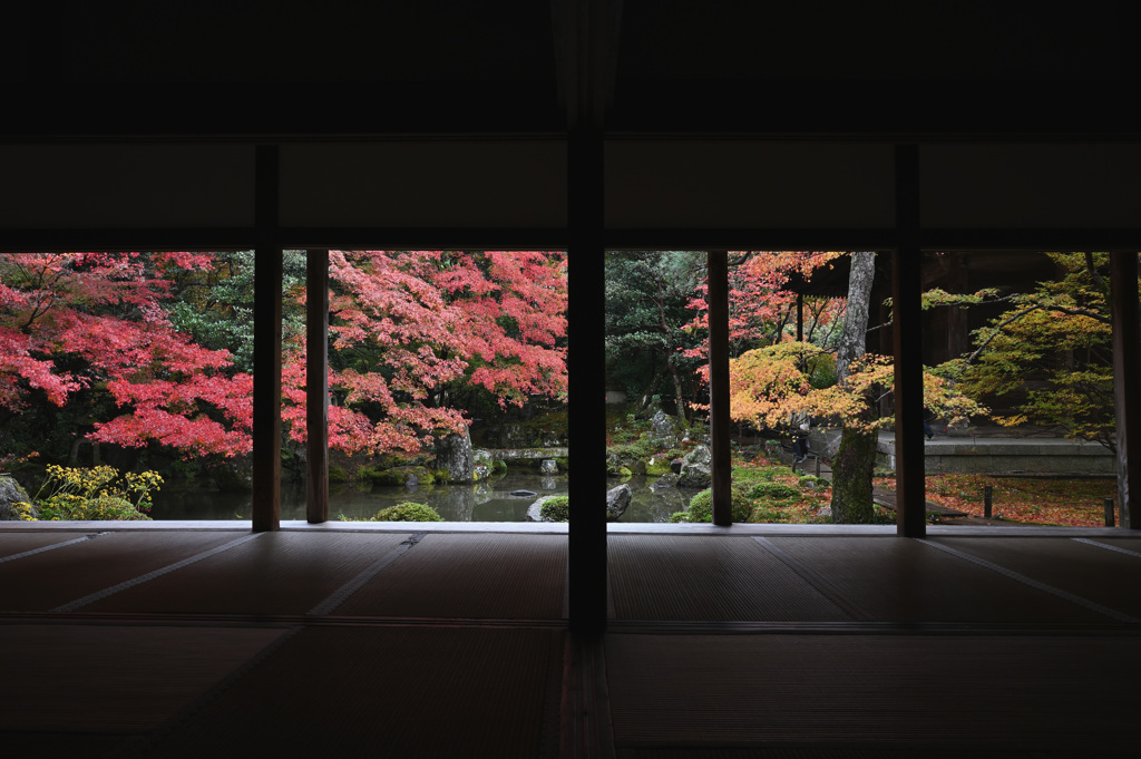 蓮華寺 紅葉①