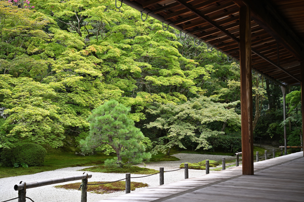 南禅寺②