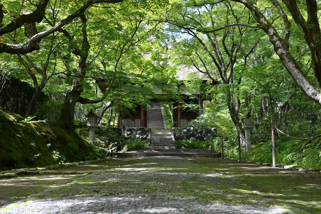 常寂光寺①