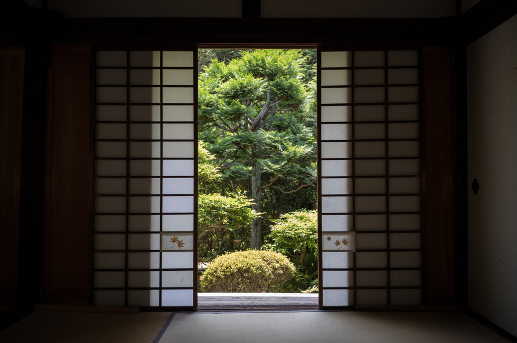 芬陀院(雪舟寺)②