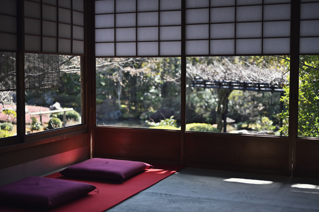 妙心寺　退蔵院①