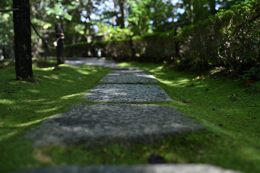 南禅寺金地院①