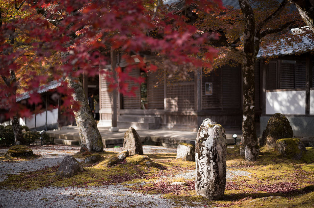 永源寺 紅葉②