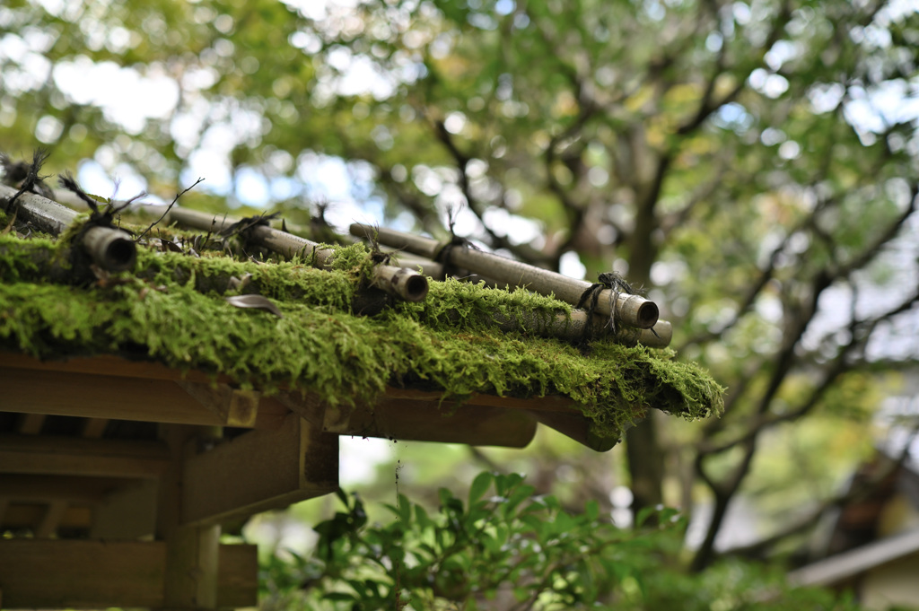 南禅寺④