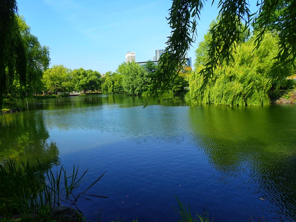 札幌、中島公園