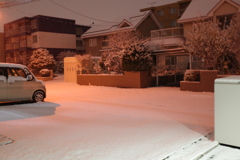 札幌の、清浄な、朝