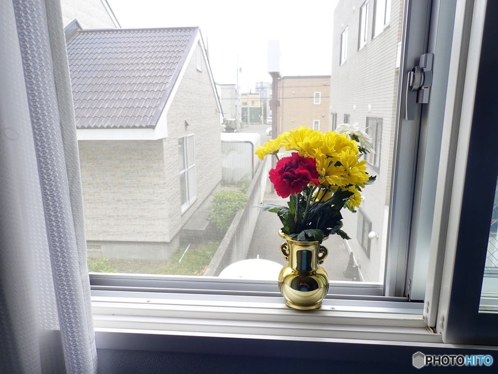 札幌、窓際の花