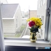 札幌、窓際の花