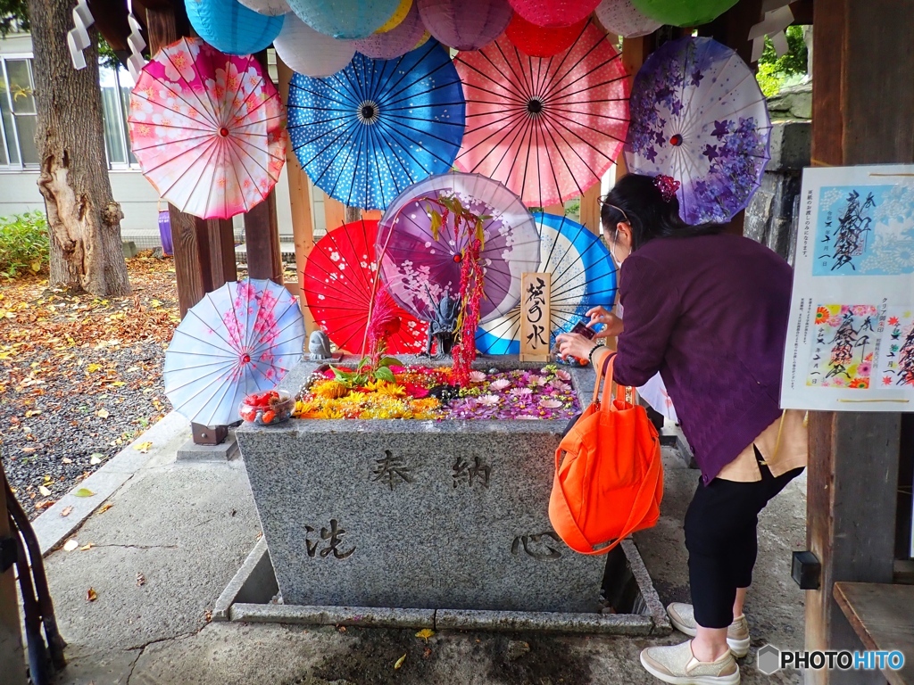 花を撮る人　札幌諏訪神社