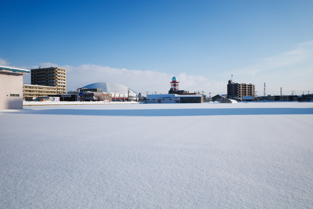 玉ねぎ畑の雪原