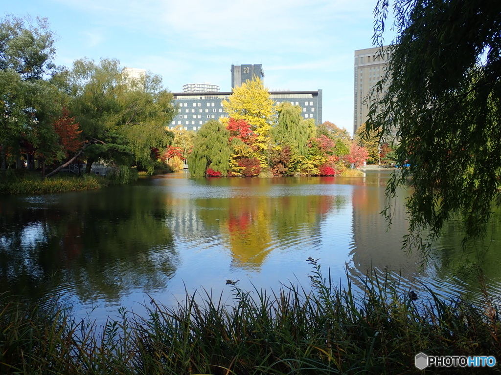 札幌、中島公園の紅葉、黄葉