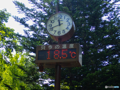 オリンピックが、あと1週間あとだったらなあ。今日の札幌市郊外の気温です。