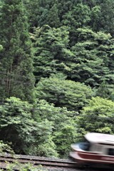 鉄道写真　南海高野線山岳区間