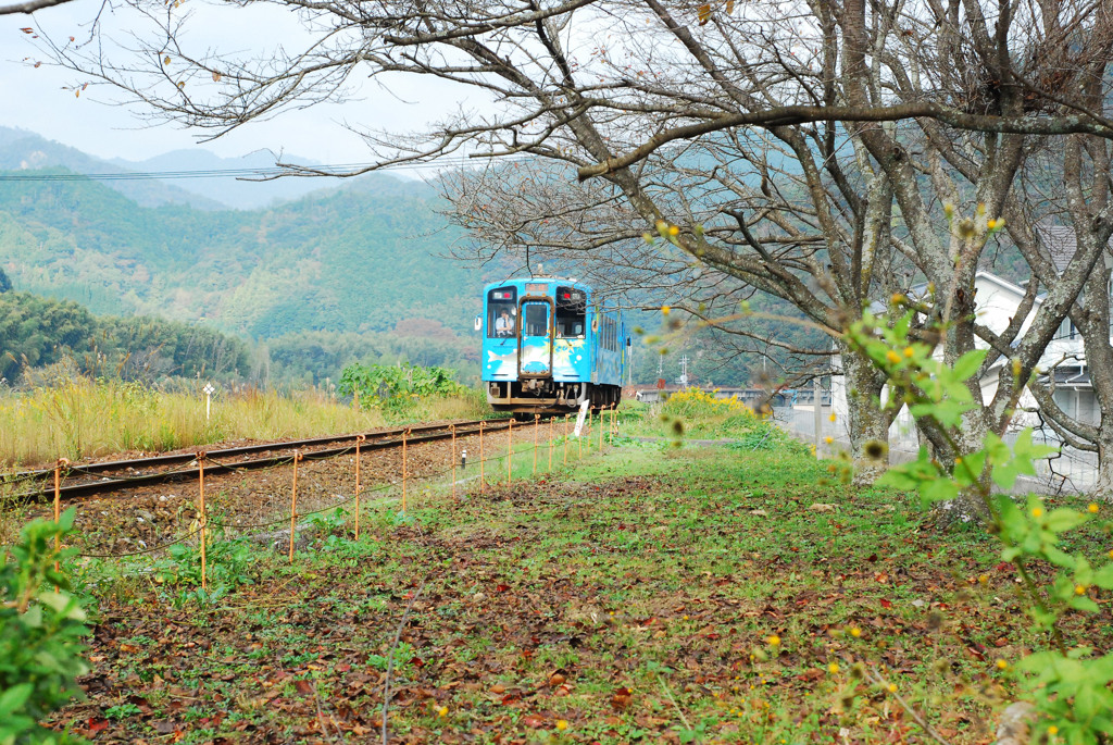晩秋の錦川鉄道