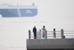 防波堤釣り