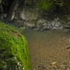 苔むす岩